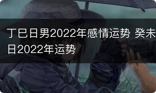 丁巳日男2022年感情运势 癸未日2022年运势