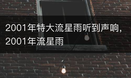 2001年特大流星雨听到声响，2001年流星雨