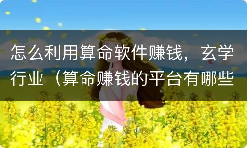 怎么利用算命软件赚钱，玄学行业（算命赚钱的平台有哪些）