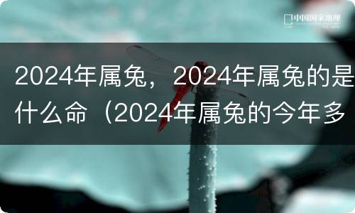 2024年属兔，2024年属兔的是什么命（2024年属兔的今年多大）