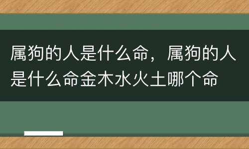 属狗的人是什么命，属狗的人是什么命金木水火土哪个命