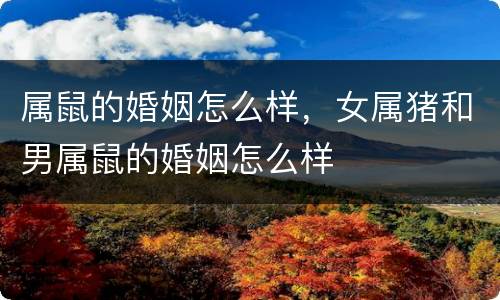 属鼠的婚姻怎么样，女属猪和男属鼠的婚姻怎么样