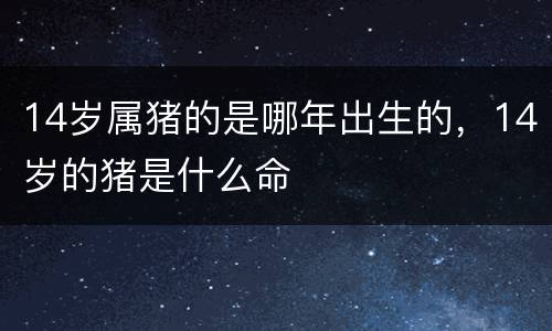 14岁属猪的是哪年出生的，14岁的猪是什么命