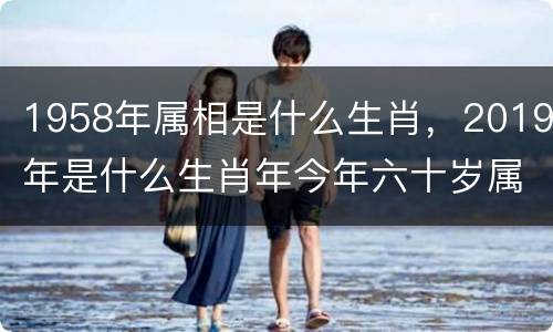 1958年属相是什么生肖，2019年是什么生肖年今年六十岁属