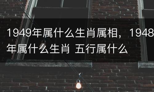 1949年属什么生肖属相，1948年属什么生肖 五行属什么