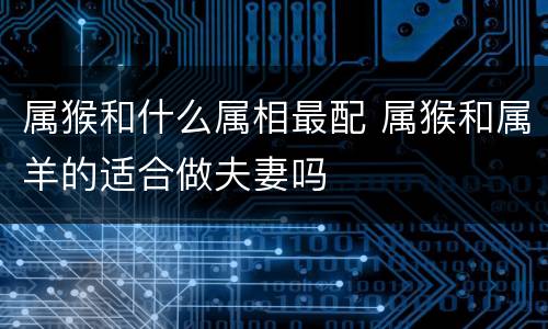 属猴和什么属相最配 属猴和属羊的适合做夫妻吗