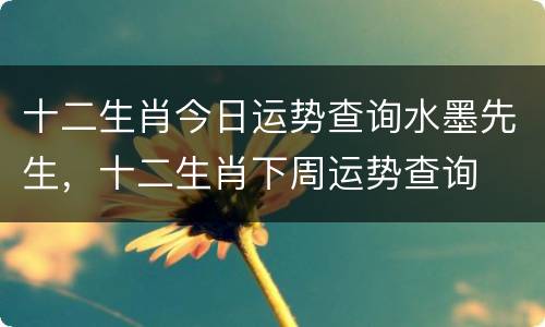十二生肖今日运势查询水墨先生，十二生肖下周运势查询