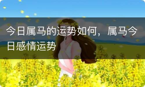 今日属马的运势如何，属马今日感情运势