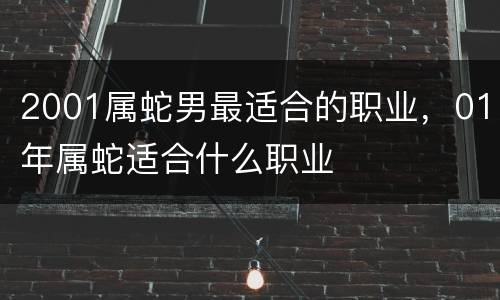 2001属蛇男最适合的职业，01年属蛇适合什么职业