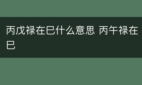 丙戊禄在巳什么意思 丙午禄在巳