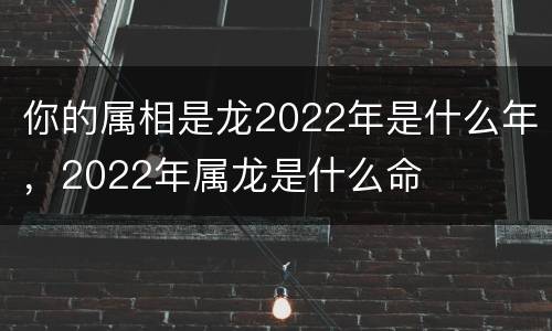 你的属相是龙2022年是什么年，2022年属龙是什么命