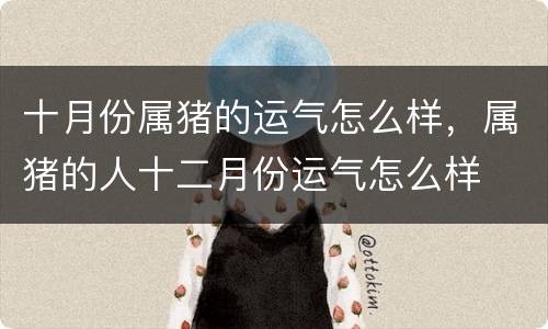 十月份属猪的运气怎么样，属猪的人十二月份运气怎么样