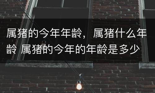 属猪的今年年龄，属猪什么年龄 属猪的今年的年龄是多少