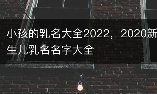 小孩的乳名大全2022，2020新生儿乳名名字大全