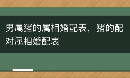 男属猪的属相婚配表，猪的配对属相婚配表