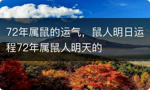 72年属鼠的运气，鼠人明日运程72年属鼠人明天的