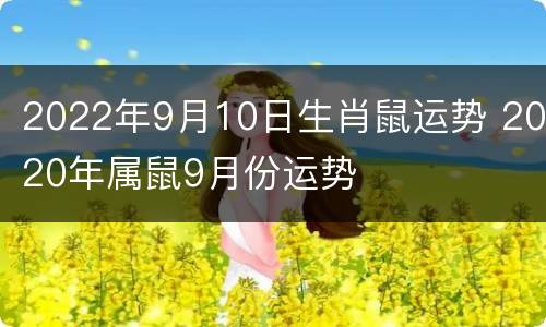 2022年9月10日生肖鼠运势 2020年属鼠9月份运势