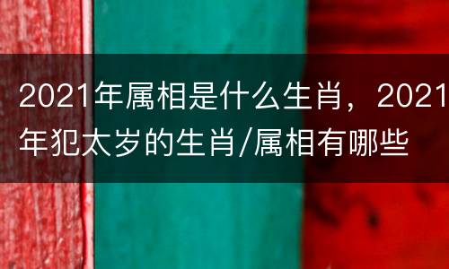 2021年属相是什么生肖，2021年犯太岁的生肖/属相有哪些