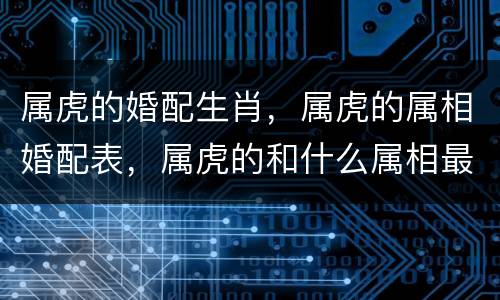 属虎的婚配生肖，属虎的属相婚配表，属虎的和什么属相最配，属虎的属相婚配