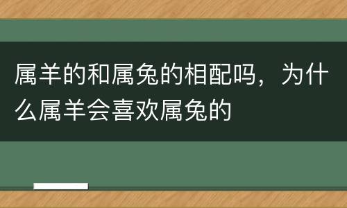 属羊的和属兔的相配吗，为什么属羊会喜欢属兔的