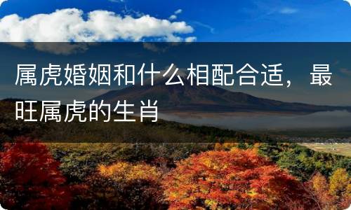 属虎婚姻和什么相配合适，最旺属虎的生肖