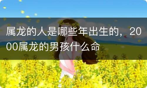 属龙的人是哪些年出生的，2000属龙的男孩什么命