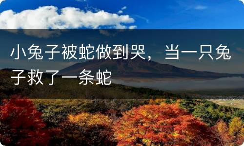 小兔子被蛇做到哭，当一只兔子救了一条蛇