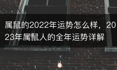 属鼠的2022年运势怎么样，2023年属鼠人的全年运势详解