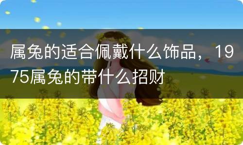 属兔的适合佩戴什么饰品，1975属兔的带什么招财