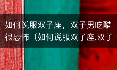如何说服双子座，双子男吃醋很恐怖（如何说服双子座,双子男吃醋很恐怖呢）