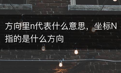 方向里n代表什么意思，坐标N指的是什么方向