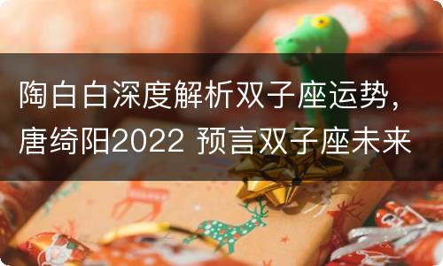 陶白白深度解析双子座运势，唐绮阳2022 预言双子座未来