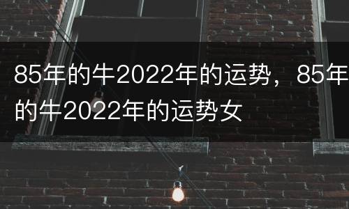 85年的牛2022年的运势，85年的牛2022年的运势女