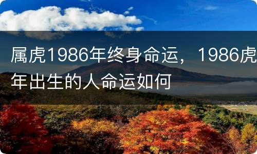 属虎1986年终身命运，1986虎年出生的人命运如何