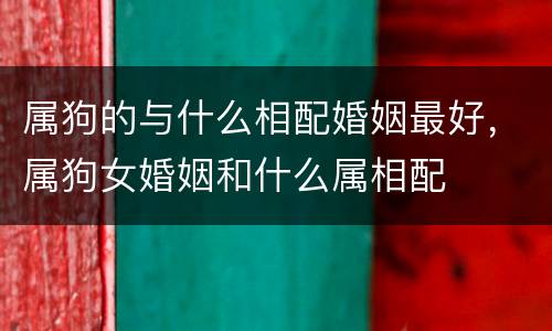 属狗的与什么相配婚姻最好，属狗女婚姻和什么属相配