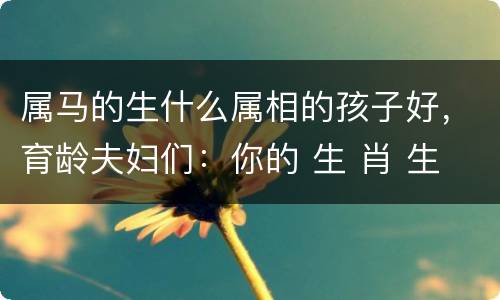 属马的生什么属相的孩子好，育龄夫妇们：你的 生 肖 生 啥