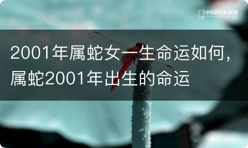 2001年属蛇女一生命运如何，属蛇2001年出生的命运