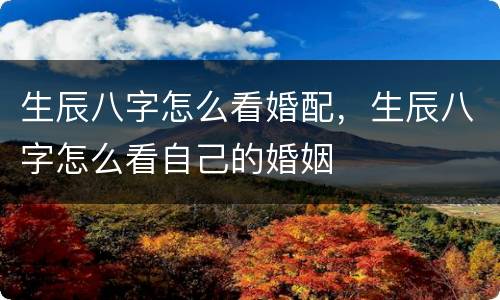 生辰八字怎么看婚配，生辰八字怎么看自己的婚姻