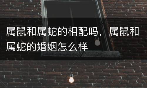 属鼠和属蛇的相配吗，属鼠和属蛇的婚姻怎么样