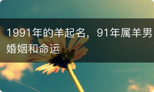 1991年的羊起名，91年属羊男婚姻和命运