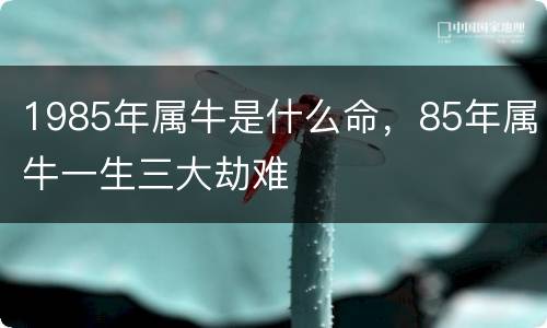 1985年属牛是什么命，85年属牛一生三大劫难