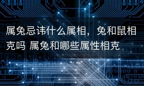 属兔忌讳什么属相，兔和鼠相克吗 属兔和哪些属性相克