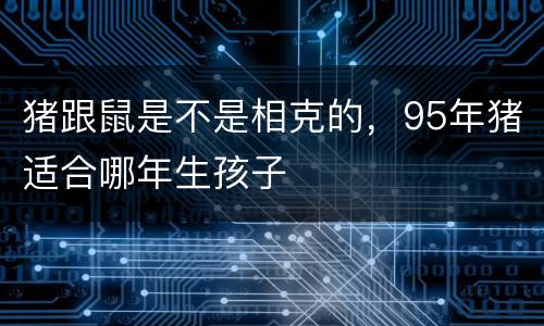 猪跟鼠是不是相克的，95年猪适合哪年生孩子
