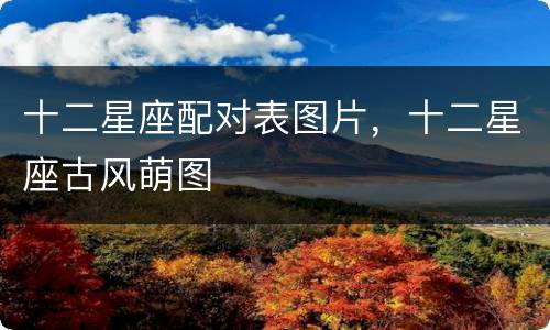 十二星座配对表图片，十二星座古风萌图