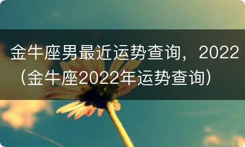 金牛座男最近运势查询，2022（金牛座2022年运势查询）