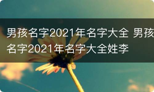 男孩名字2021年名字大全 男孩名字2021年名字大全姓李