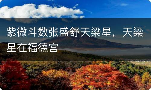 紫微斗数张盛舒天梁星，天梁星在福德宫