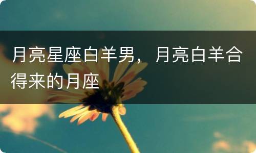 月亮星座白羊男，月亮白羊合得来的月座