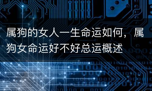 属狗的女人一生命运如何，属狗女命运好不好总运概述