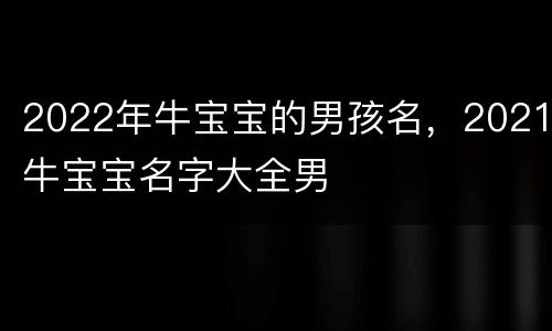 2022年牛宝宝的男孩名，2021牛宝宝名字大全男